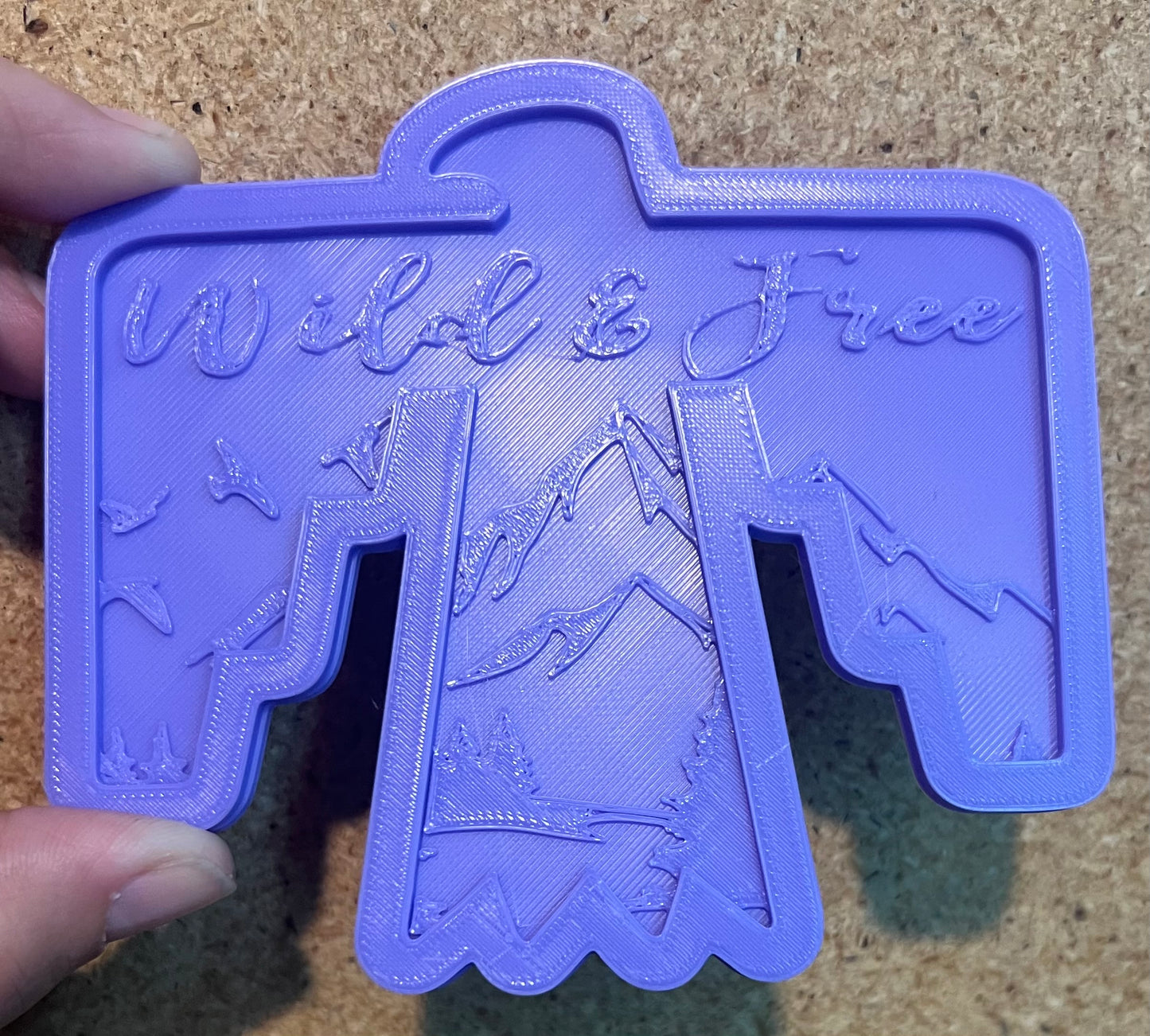 {large thunderbird inserts} Silicone Mold