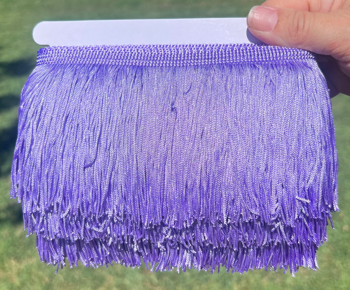 Lavender Fringe