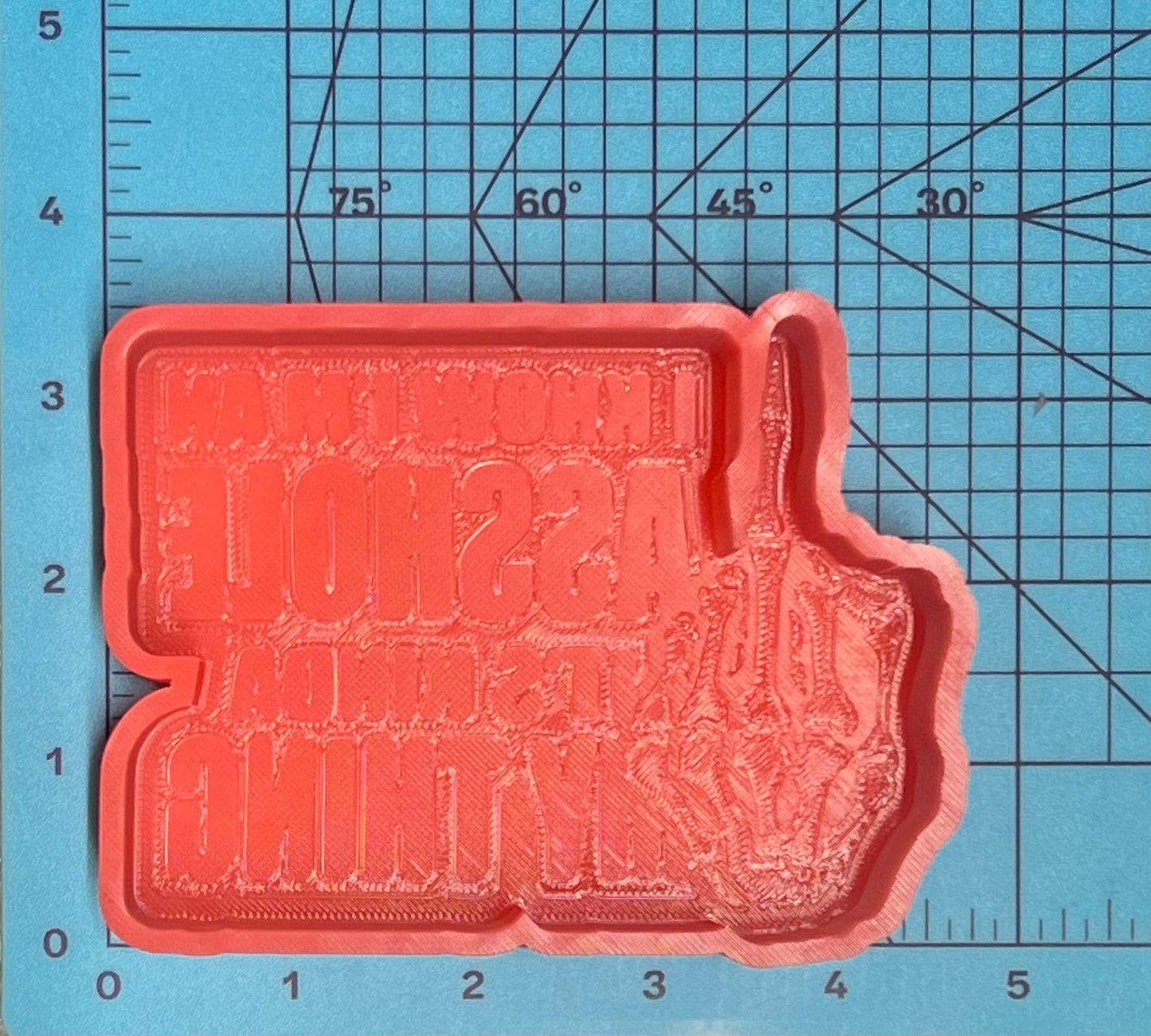 {i know im an asshole} Silicone Mold