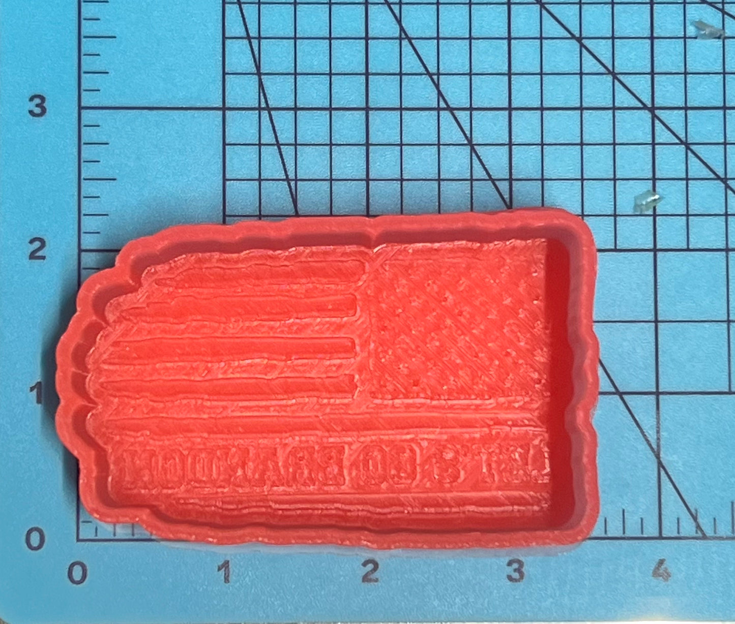 { Lets go Brandon } Silicone Mold