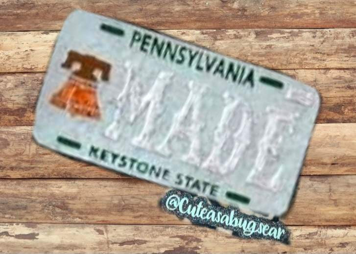 XL rounded Rectangle License plate inserts