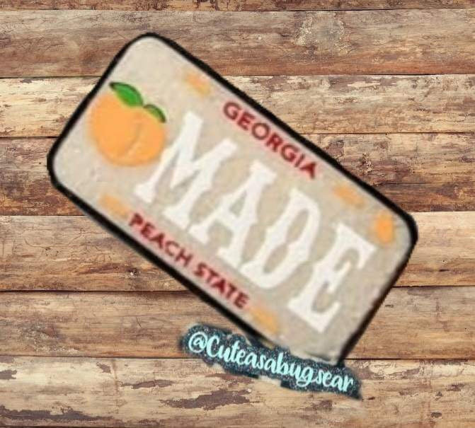 XL rounded Rectangle License plate inserts