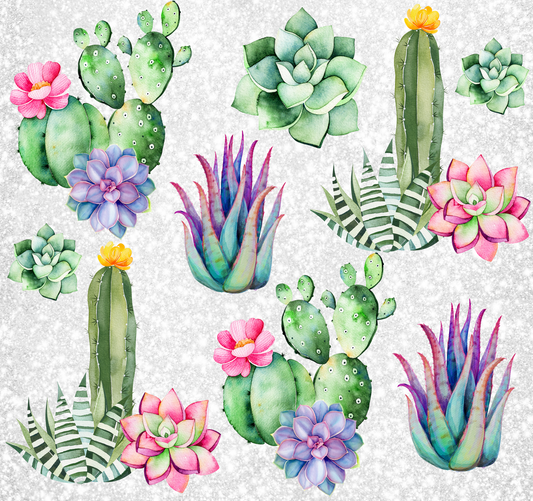 { Succulents } Sublimation Tumblers