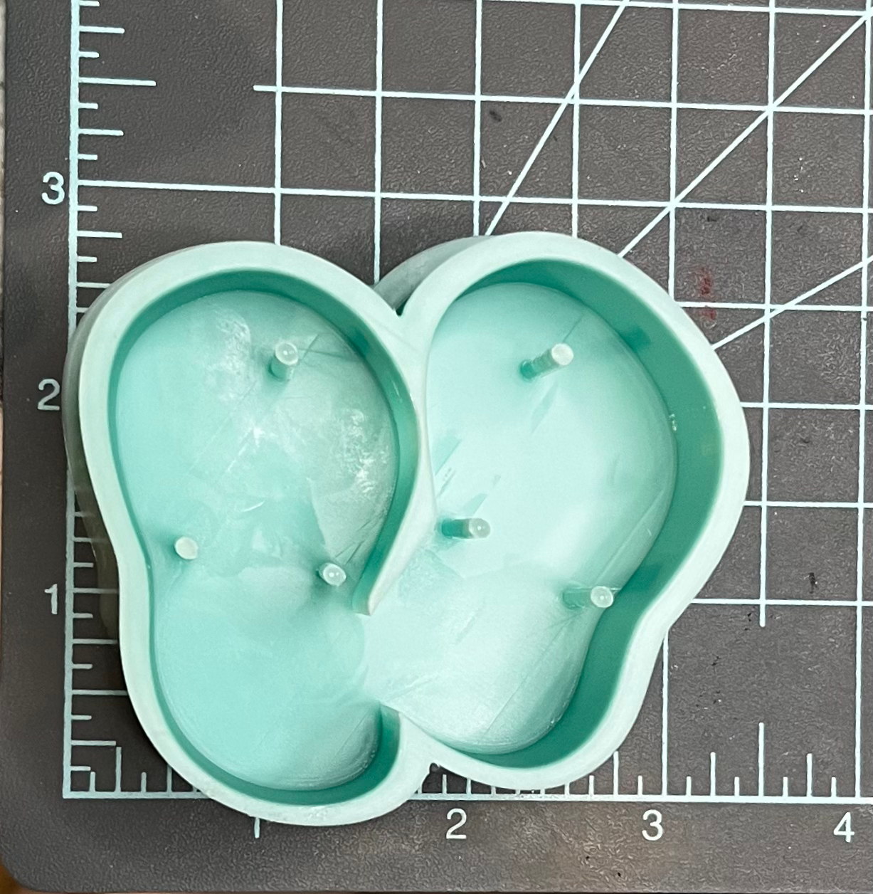 {Flip Flops} Silicone Mold