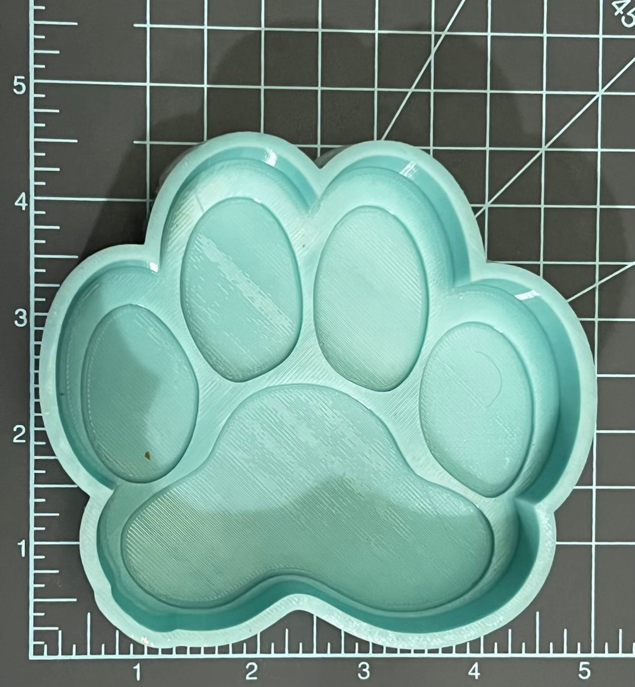 {Paw Print} Silicone Mold