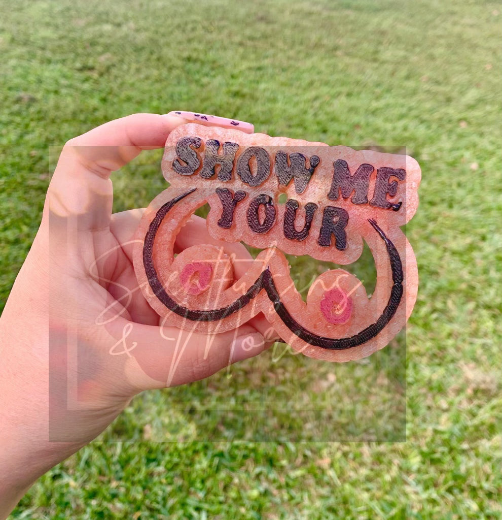 {Show Me Your Boobs**updated settings} Silicone Mold