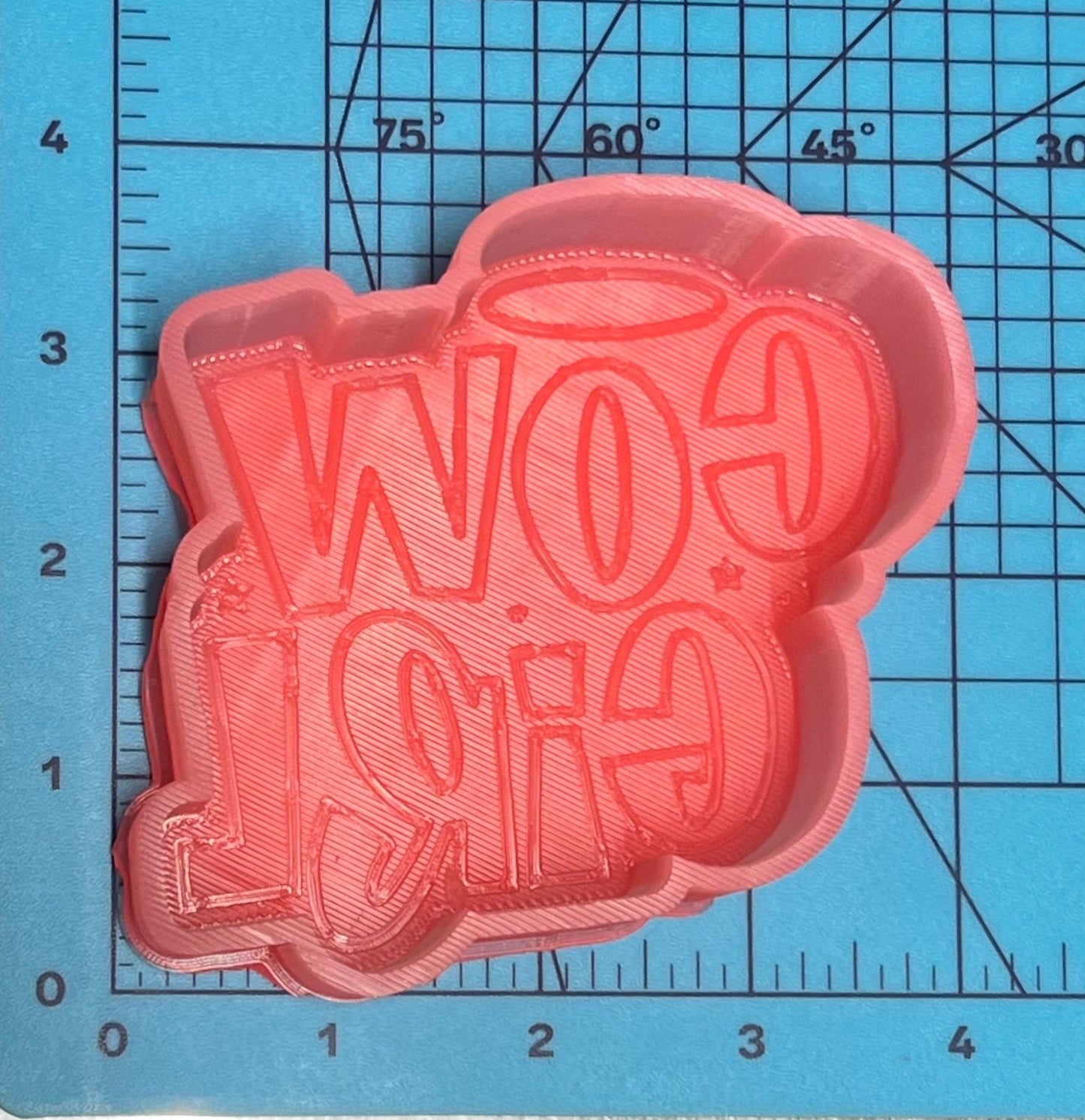 {cowgirl words} Silicone Mold