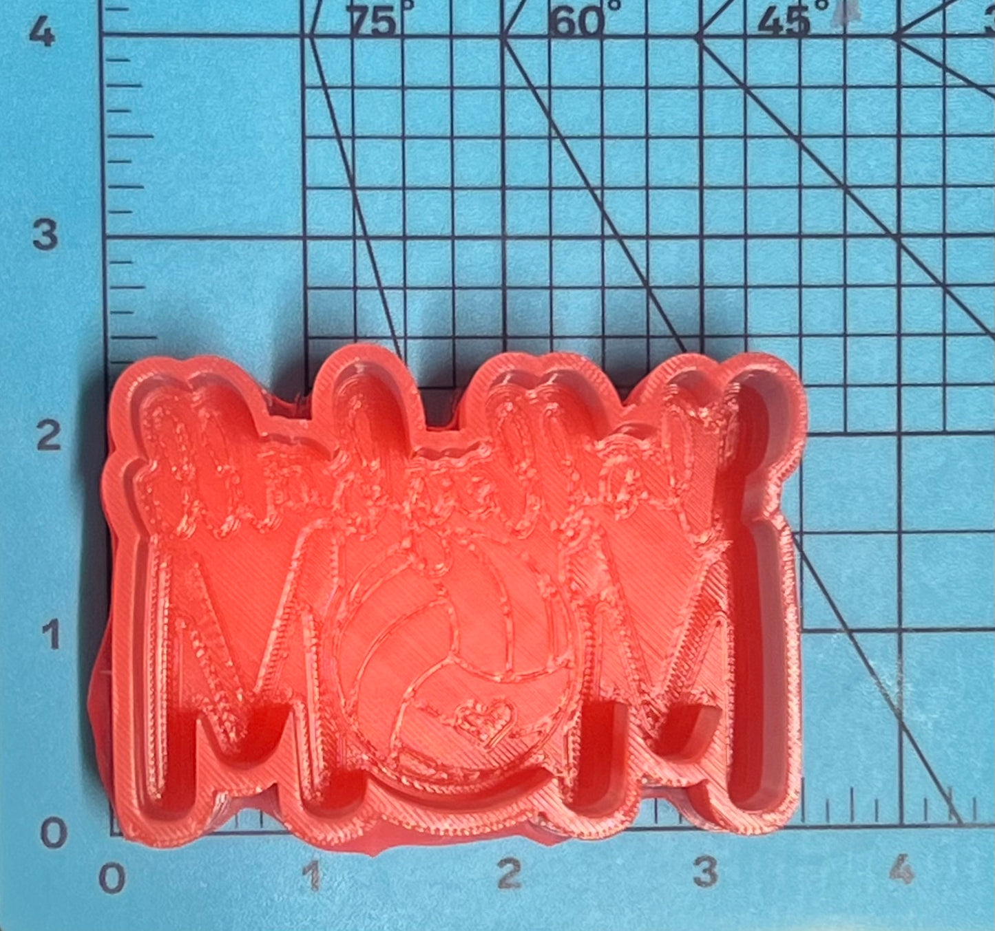 {volleyball mom} Silicone Mold