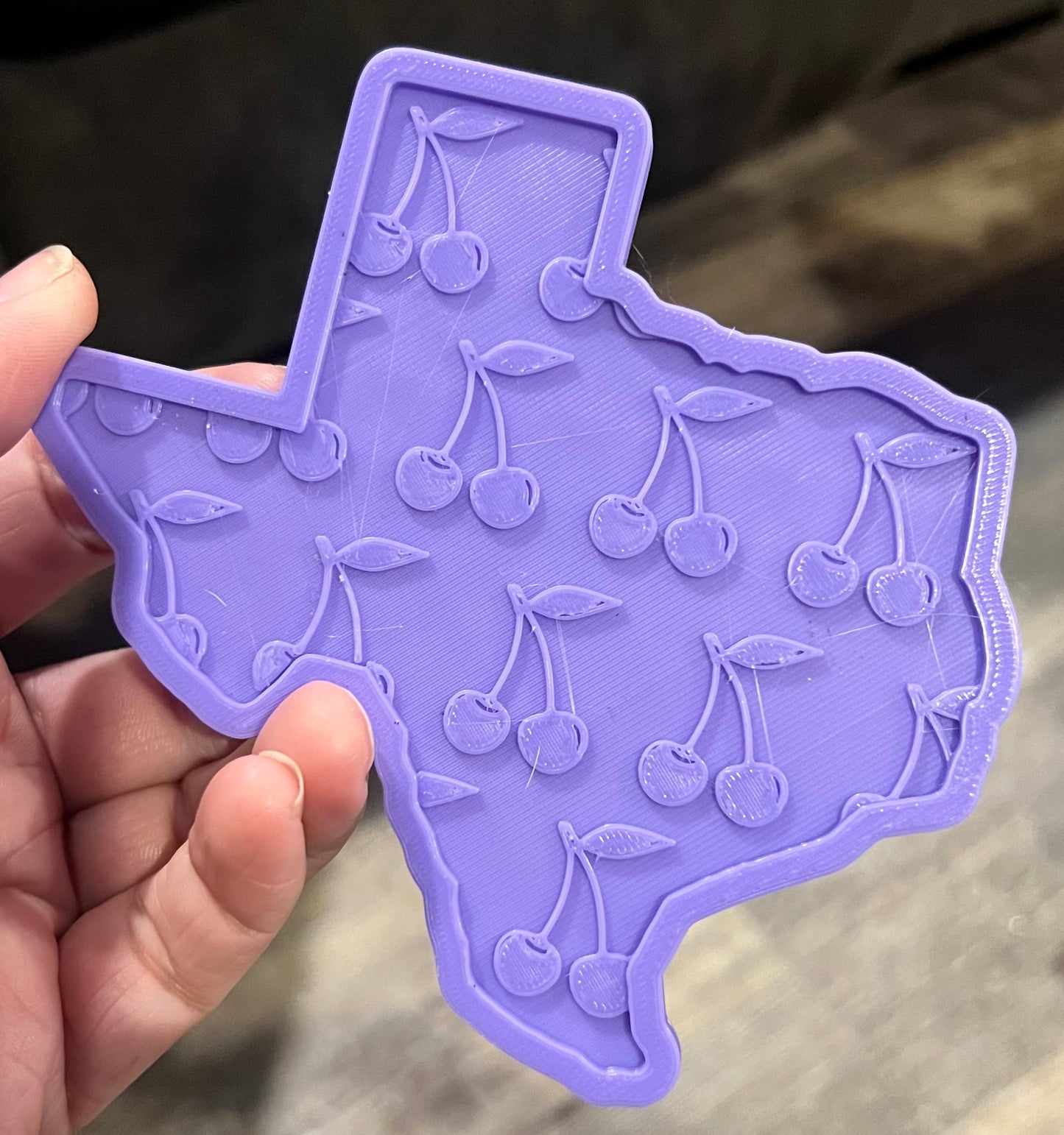 Large texas inserts silicone molds