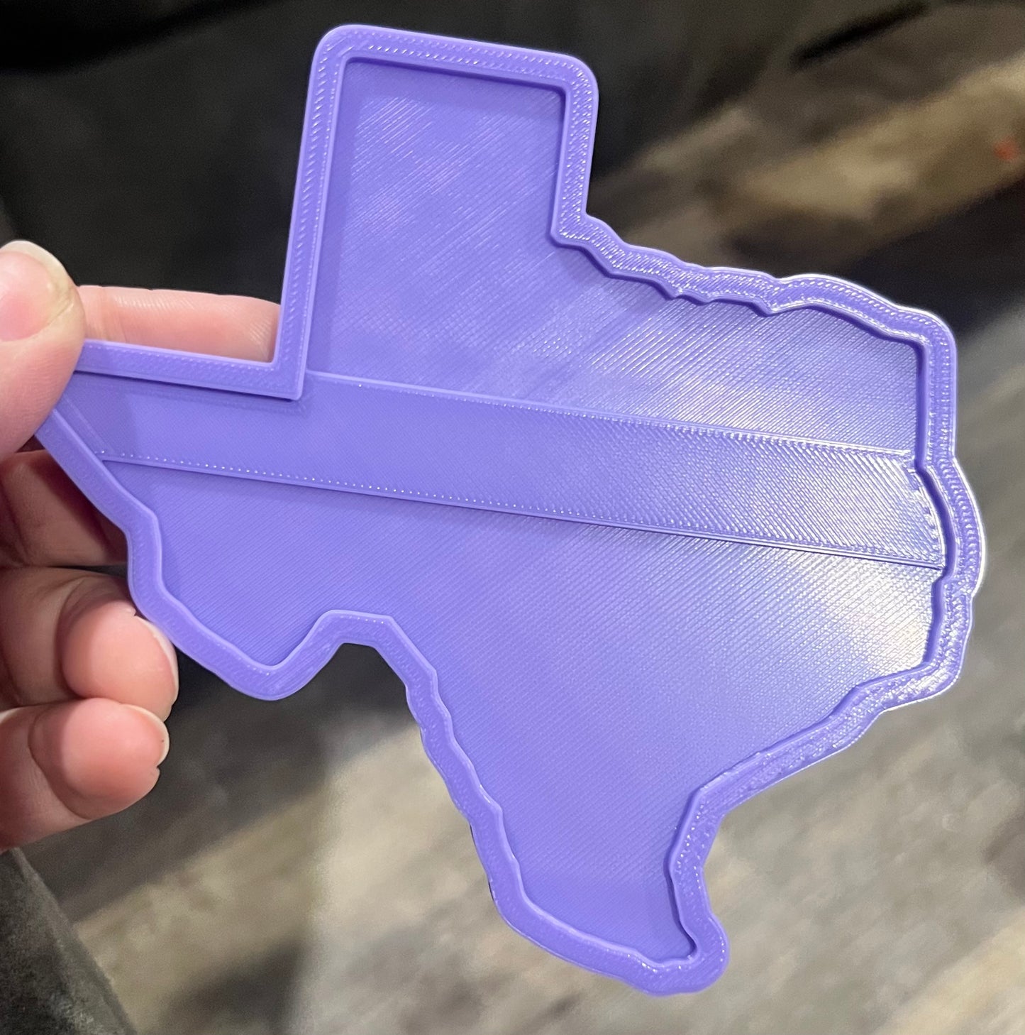 Large texas inserts silicone molds