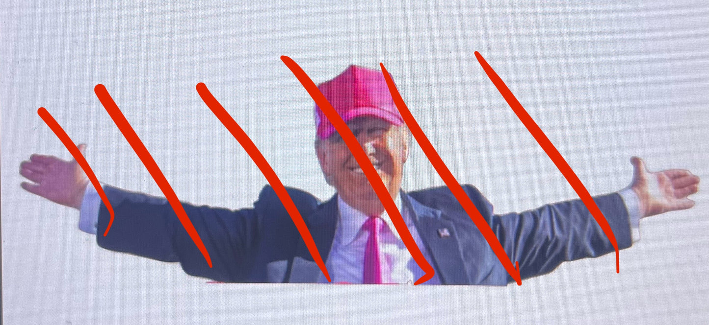 Trump pink file