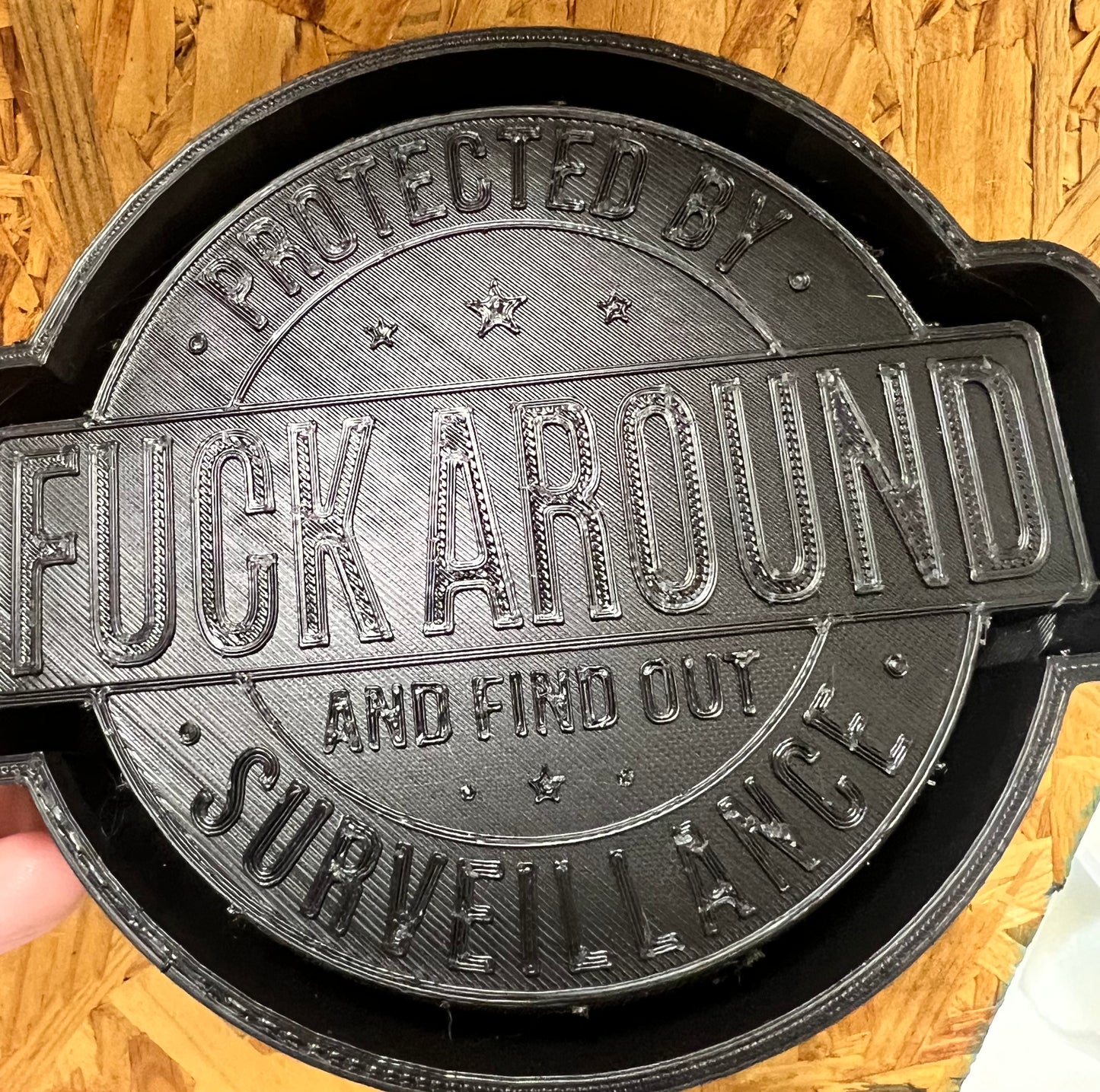 {fuck around and find out surveillance} Silicone Mold