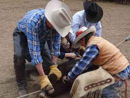 Ranch hand type Pre- scented beads