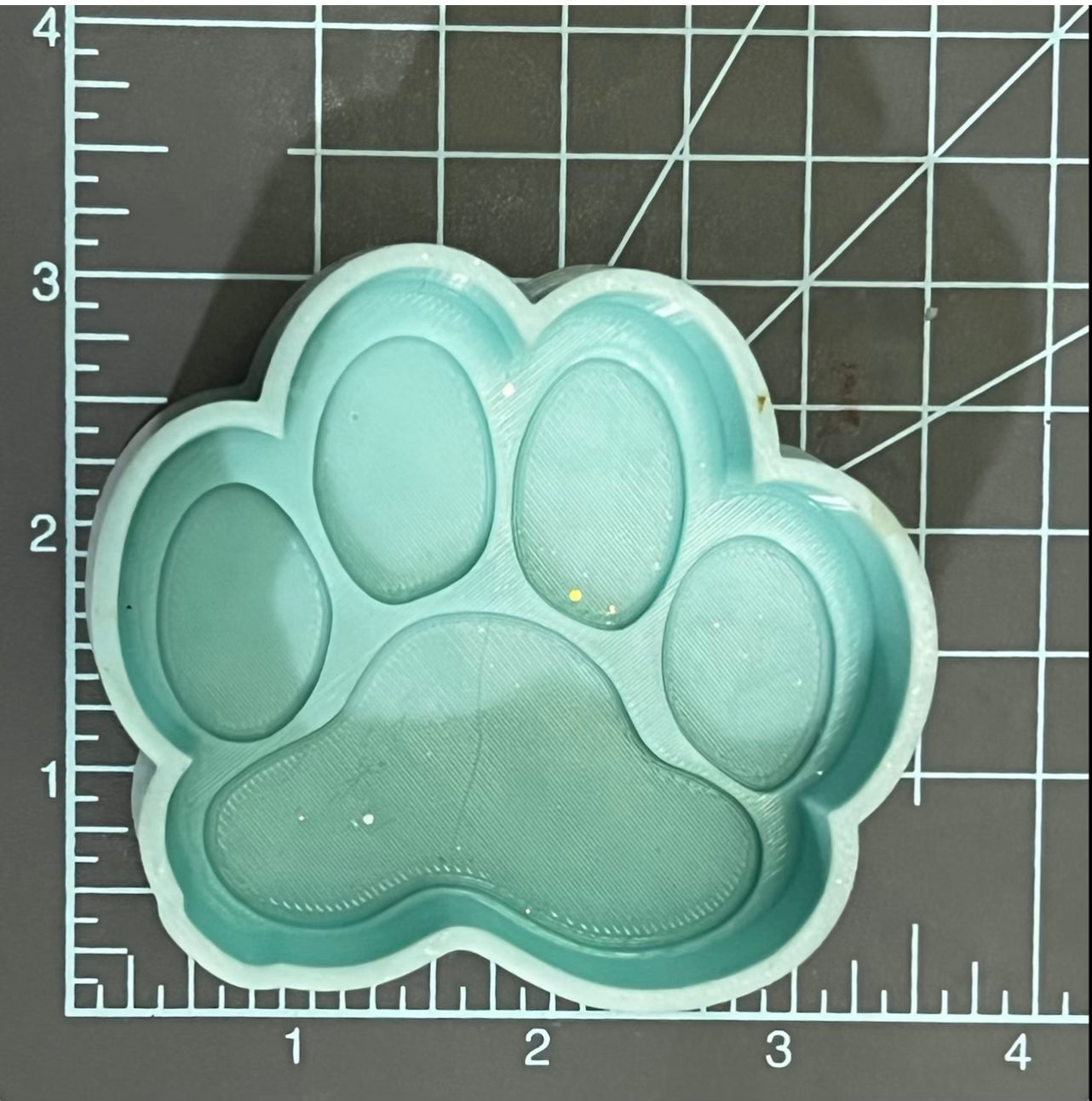 {Paw Print} Silicone Mold