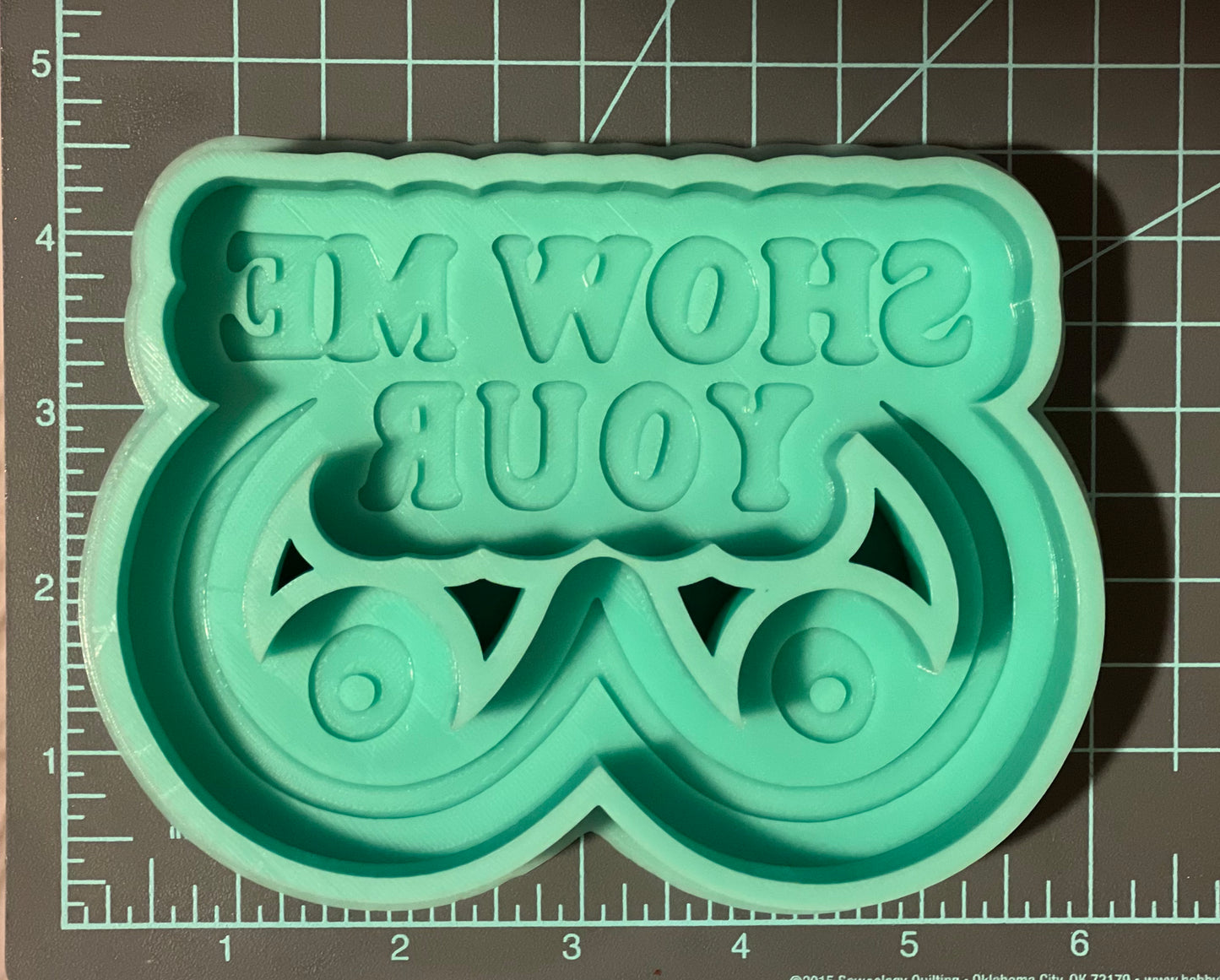 {Show Me Your Boobs**updated settings} Silicone Mold