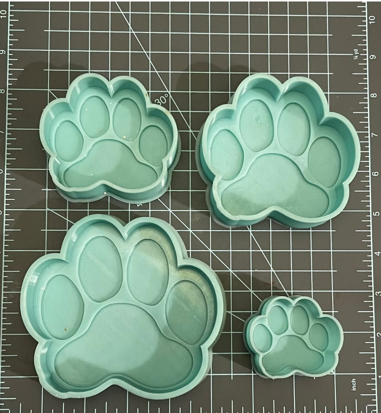 {Paw Print} Silicone Mold