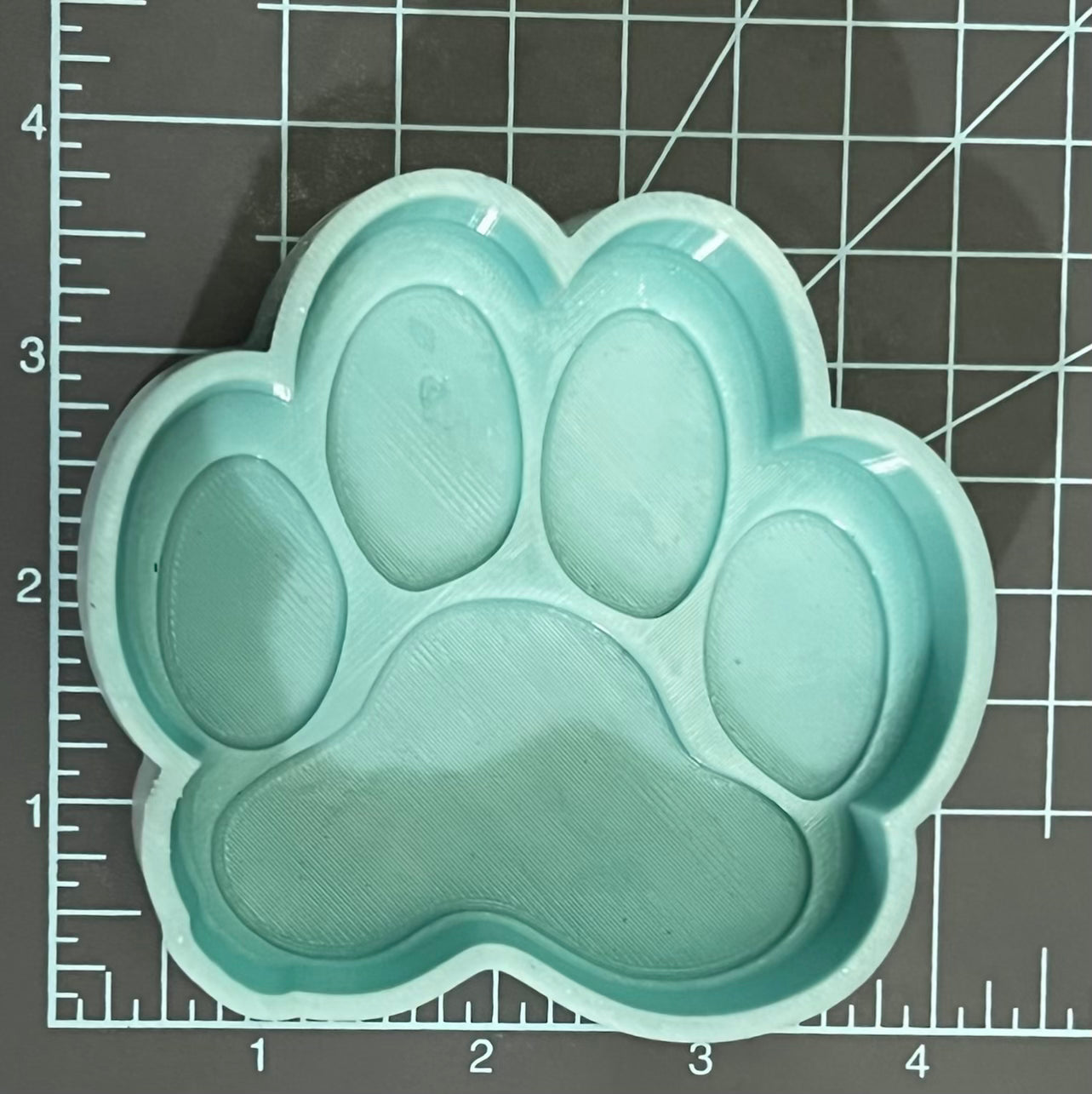 {Paw Print} Silicone Mold