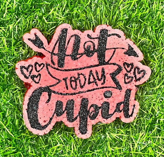 {not today Cupid} All Freshie Sizes